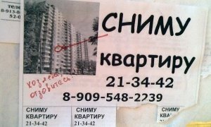 Сниму Квартиру Фото Объявления