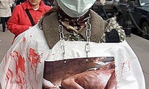 Россия блюдет человеческий образец