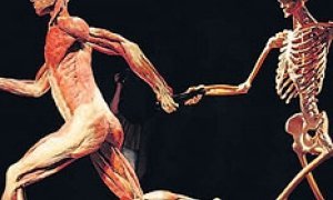 Биообразцы для подражания