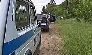 Подозреваются все