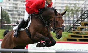 Дубль человека и лошади