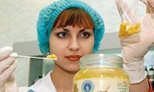 Вскрыли гены