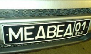 Строптивого Медведа упрятали за решетку