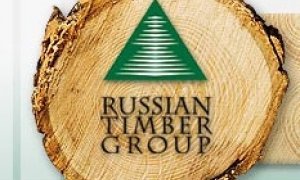 Наломали дров в Лондоне