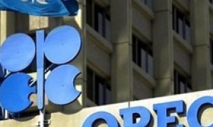 Связанные одной нефтью