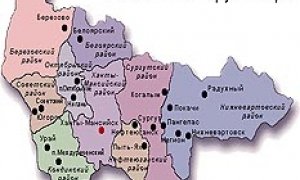 Новый год без подарка