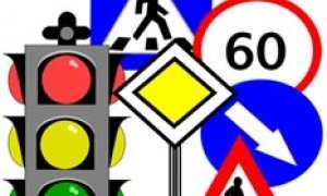 Государственная Дума дураками не занимается