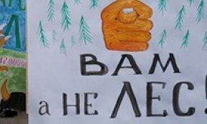 Сергей Шойгу не вывел трассу из леса