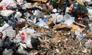 Сочинская Олимпиада из «безотходной» грозит превратиться в мусорную