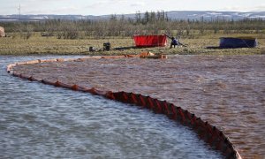 «Норникель» оценил ущерб природе от аварии на ТЭЦ в семь раз ниже, чем Росприроднадзор