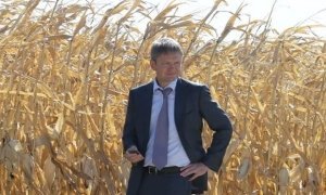 Природные катаклизмы и холодное лето грозят России потерей части урожая