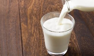 Депутаты подготовили законопроект о бесплатном стакане молока для школьников