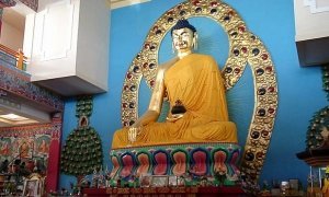 В Элисте борца из Дагестана заставили на коленях извиняться за осквернение статуи Будды