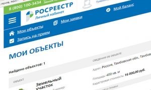 Житель Красноярска устроил показательный погром в Росреестре