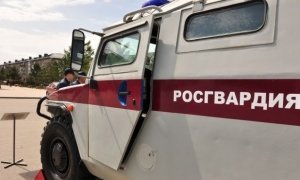 В Ленинградской области машина Росгвардии сбила на «зебре» ребенка