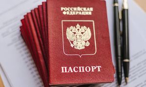 В Госдуме предложили вернуть в паспорта графу о национальности