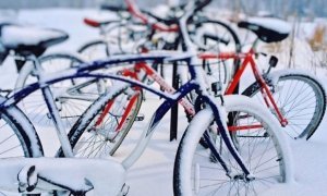 Московские власти потратят 10 млн рублей на новые велодорожки