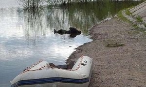 Родственники погибших на Сямозере детей взыскали с местной больницы 4 млн рублей