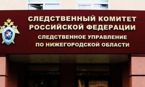 Депутат нижегородского ЗакСа и его брат стали фигурантами дела о мошенничестве