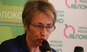 Партия «Яблоко» выдвинет в мэры Москвы Елену Русакову вместо Сергея Митрохина