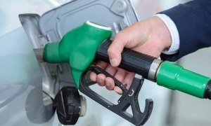 ФАС сообщила о стабилизации и незначительном снижении цен на бензин
