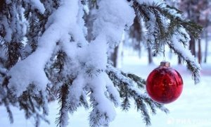 Синоптики пообещали москвичам в новогоднюю ночь до -12 градусов мороза