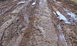 В Пермском крае пенсионера оштрафовали за попытку отремонтировать размытую дорогу