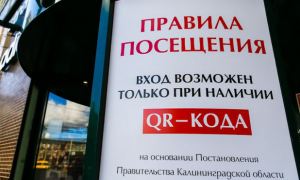 В Калининградской области ввели QR-коды для посещения МФЦ и госучреждений