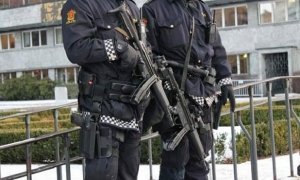 Задержанный в Норвегии российский «разведчик» оказался сотрудником Совета Федерации