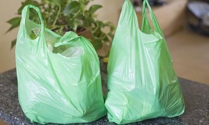 Подмосковная дума предложила запретить бесплатные пластиковые пакеты в магазинах