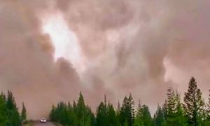 В Якутии из-за лесных пожаров закрыли авиа- и речное сообщение. Огонь подбирается к Светлинской ГЭС