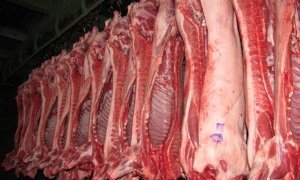 Российские власти запретили ввоз украинской свинины из-за африканской чумы