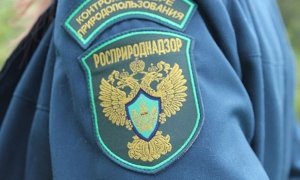 Помощника главы Росприроднадзора задержали за мошенничество