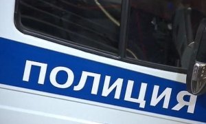 В Новой Москве выходцы из Средней Азии напали на полицейских и похитили их оружие