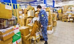 Россиян обязали предоставлять данные паспорта для получения товаров из онлайн-магазинов  