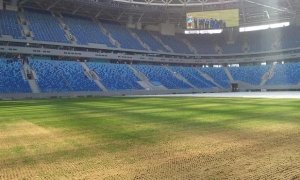 На стадионе «Зенит-Арена» начали менять «умерший» газон