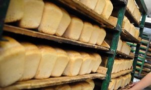 Хлебный бунт 