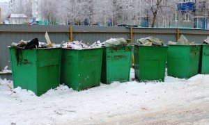 Компания сына генпрокурора за месяц получила контракты на вывоз мусора на 106 млн рублей