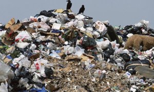 Бывшего главу Симферополя заподозрили в организации незаконной мусорной свалки