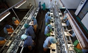 Работникам скандального рыбокомбината на Шикотане выплатили всю зарплату