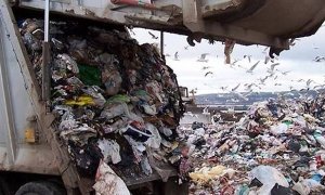 Власти Волоколамска приняли «дорожную карту» по ситуации на мусорной свалке