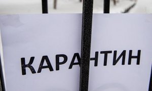В Москве и Подмосковье ввели всеобщий режим изоляции