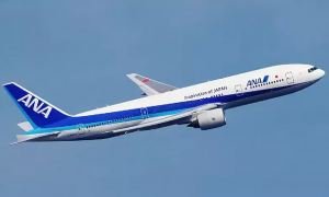 Самолет японской авиакомпании совершил экстренную посадку в Новосибирске из-за инсульта командира экипажа