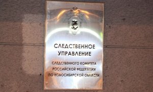 В Новосибирской области коллекторы изнасиловали женщину из-за долга в 240 тысяч рублей