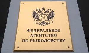 Экс-советник главы Росрыболовства опроверг сообщения о своем задержании за взятку