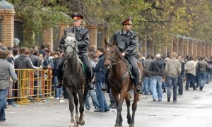 Московская полиция купит 10 лошадей орловской породы за 2 млн рублей