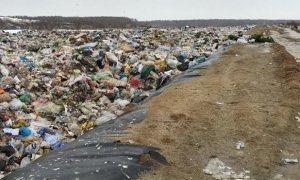 Коломенские власти назначат нового руководителя мусорного полигона «Воловичи»