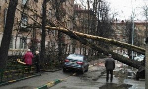 Власти Москвы выделят пострадавшим в результате урагана по 500 тысяч рублей