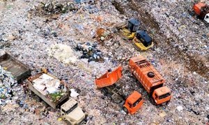 Ущерб экологии от несанкционированного сброса отходов на свалку «Кучино» оценили в 2 млрд рублей