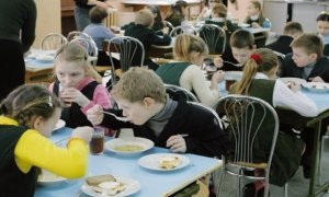 Российские школы экономят на питании детей из малоимущих семей